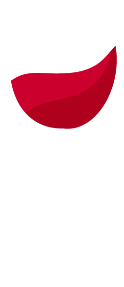Logo 2 - Les Crus des Vignerons à Auray
